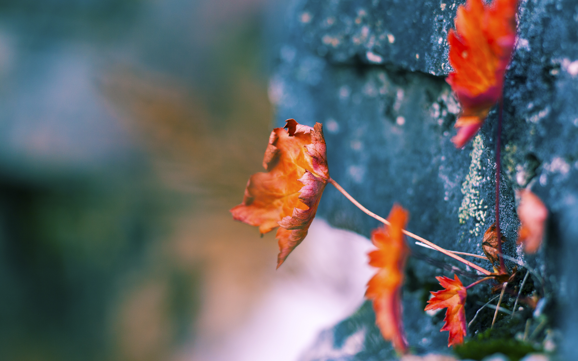 星空体育平台-上海久事球队年轻球员状态火热,上海久事篮球俱乐部有限公司