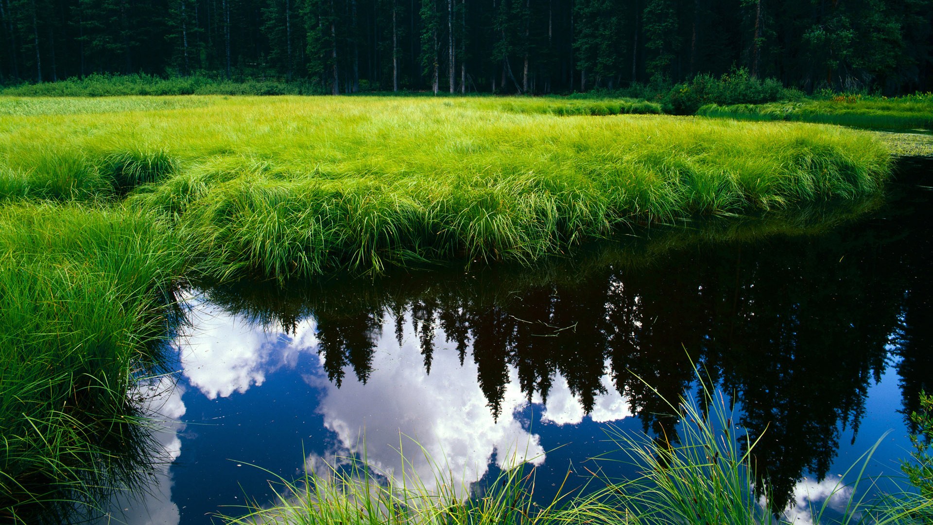 星空体育网站入口-博卡青年新赛季开局强势,博卡青年新赛季球衣