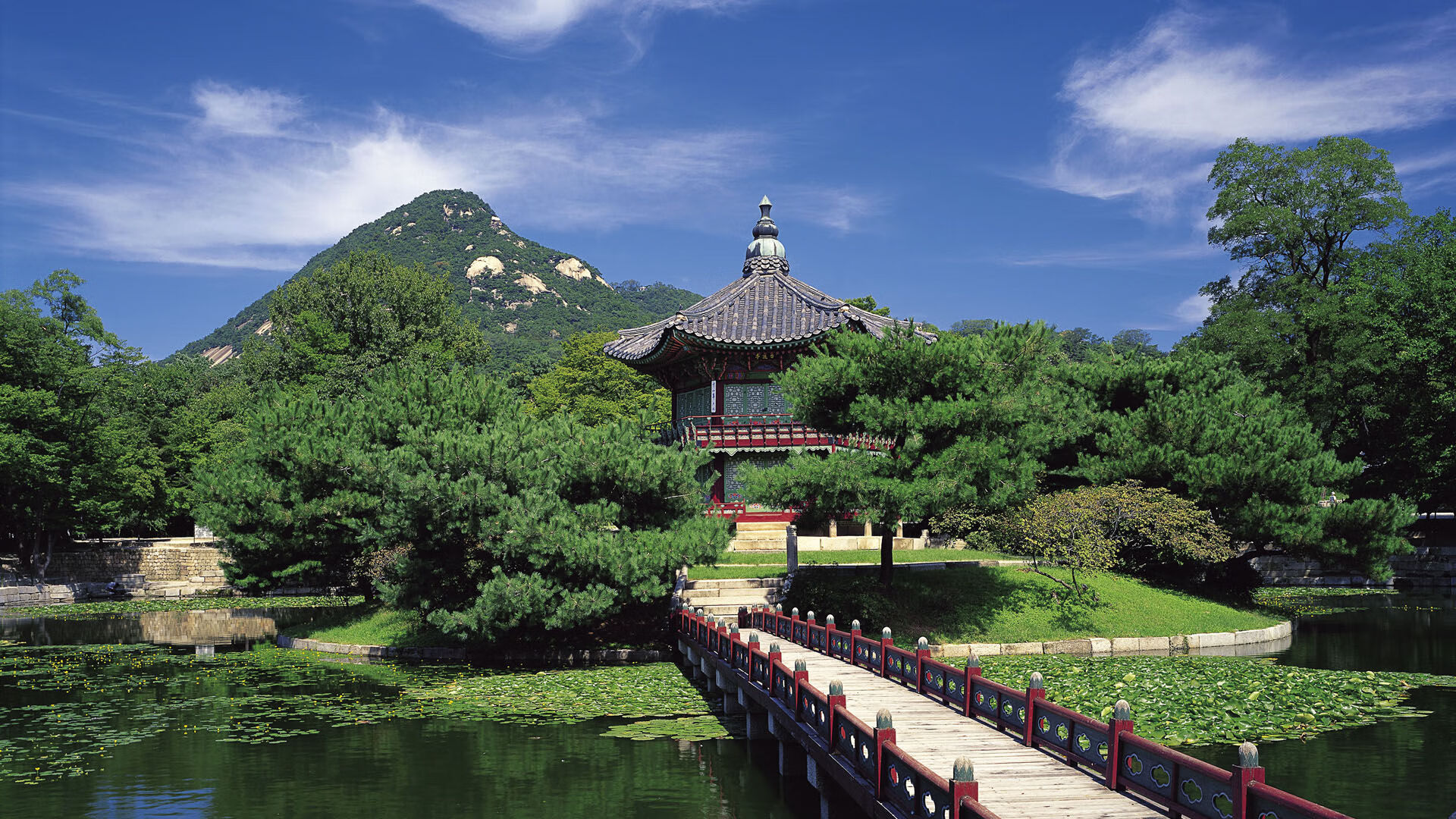 星空体育娱乐平台-国际足球赛事中，某支球队实力惊艳，击败强敌，国际足球队员