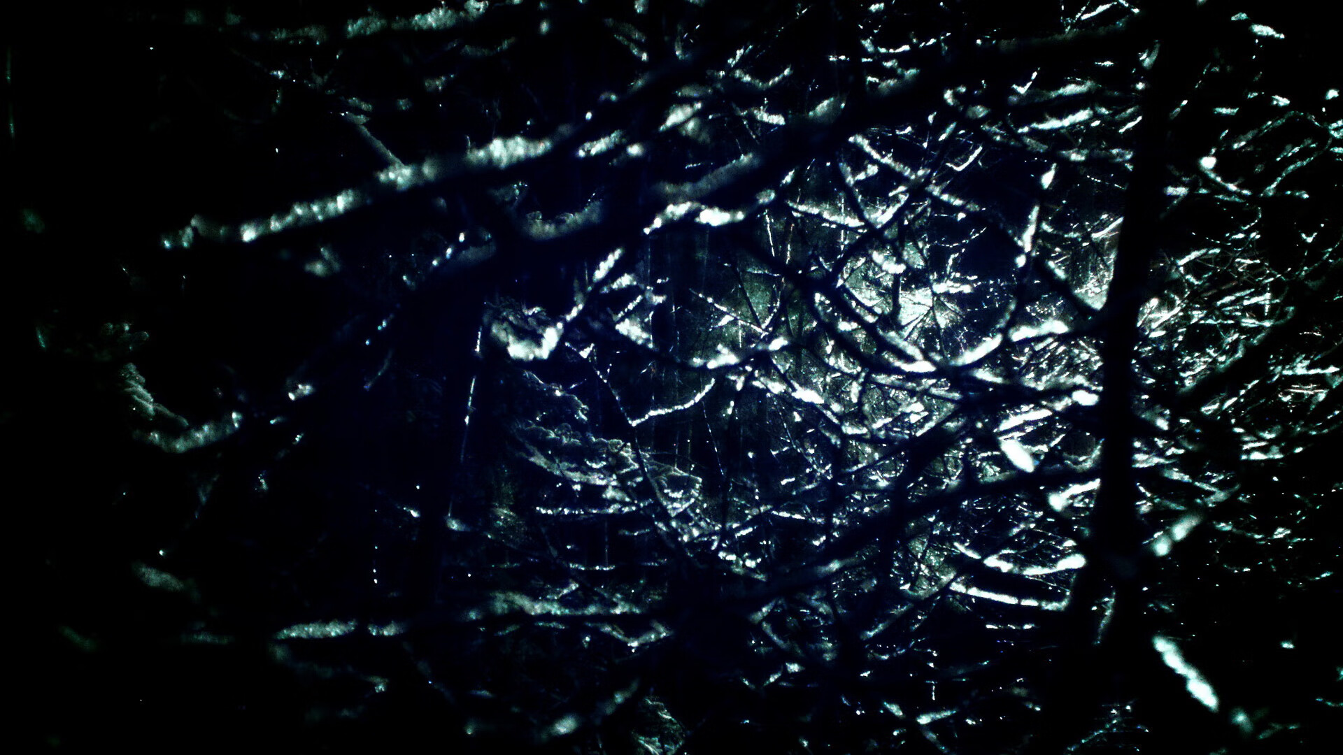 -汉堡队主场告捷,暂时摆脱降级危机,昨晚汉堡队比赛