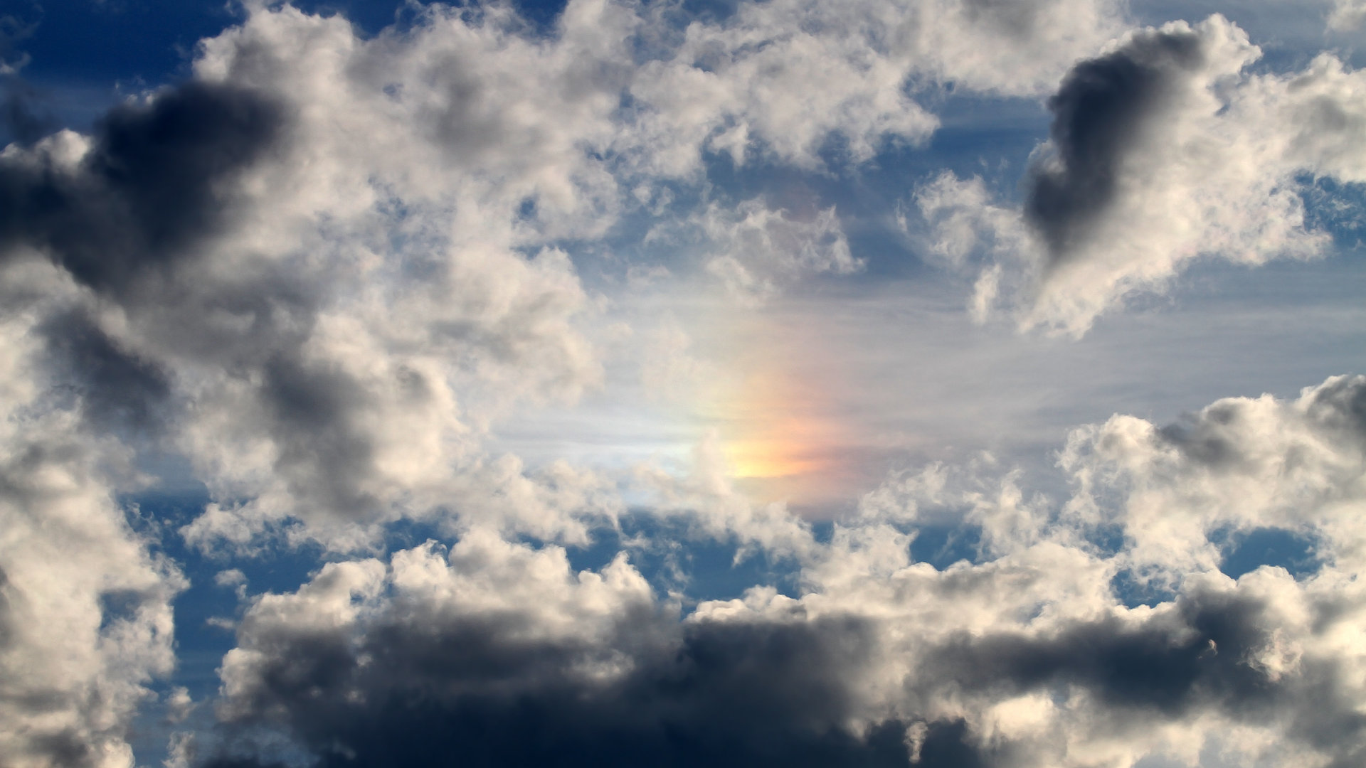 星空体育下载-雄鹿大胜战胜猛龙,继续排名东部第一,雄鹿获抢七大战首胜