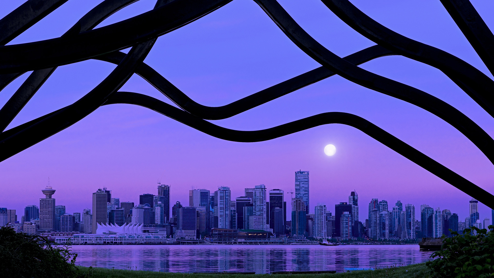 星空体育官方网站-世界滑板锦标赛中国选手获最佳新秀，世界滑板大赛冠军