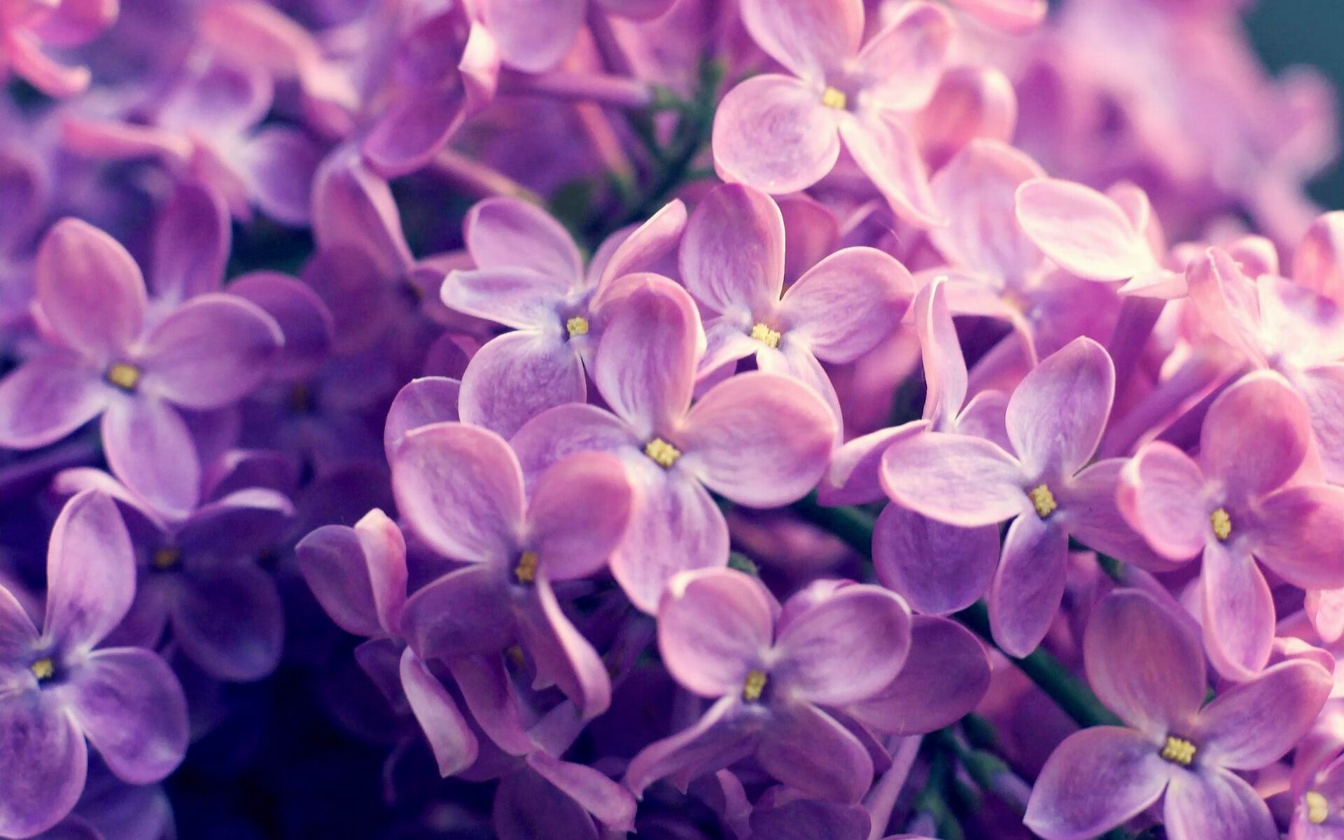 星空体育官网下载入口-传统豪门的崛起：曾经的超级球队逐步复苏，豪门超级联赛