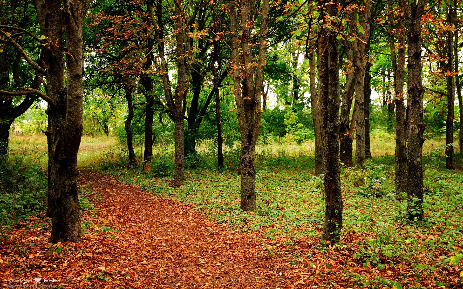 星空体育app官方网站-国际乒乓赛事继续火热进行，各国选手争夺荣誉，国际乒乓球比赛排名