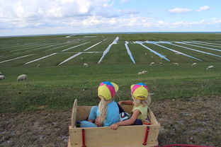 星空体育官网信誉好-青少年足球训练方法现代化，青少年足球技术