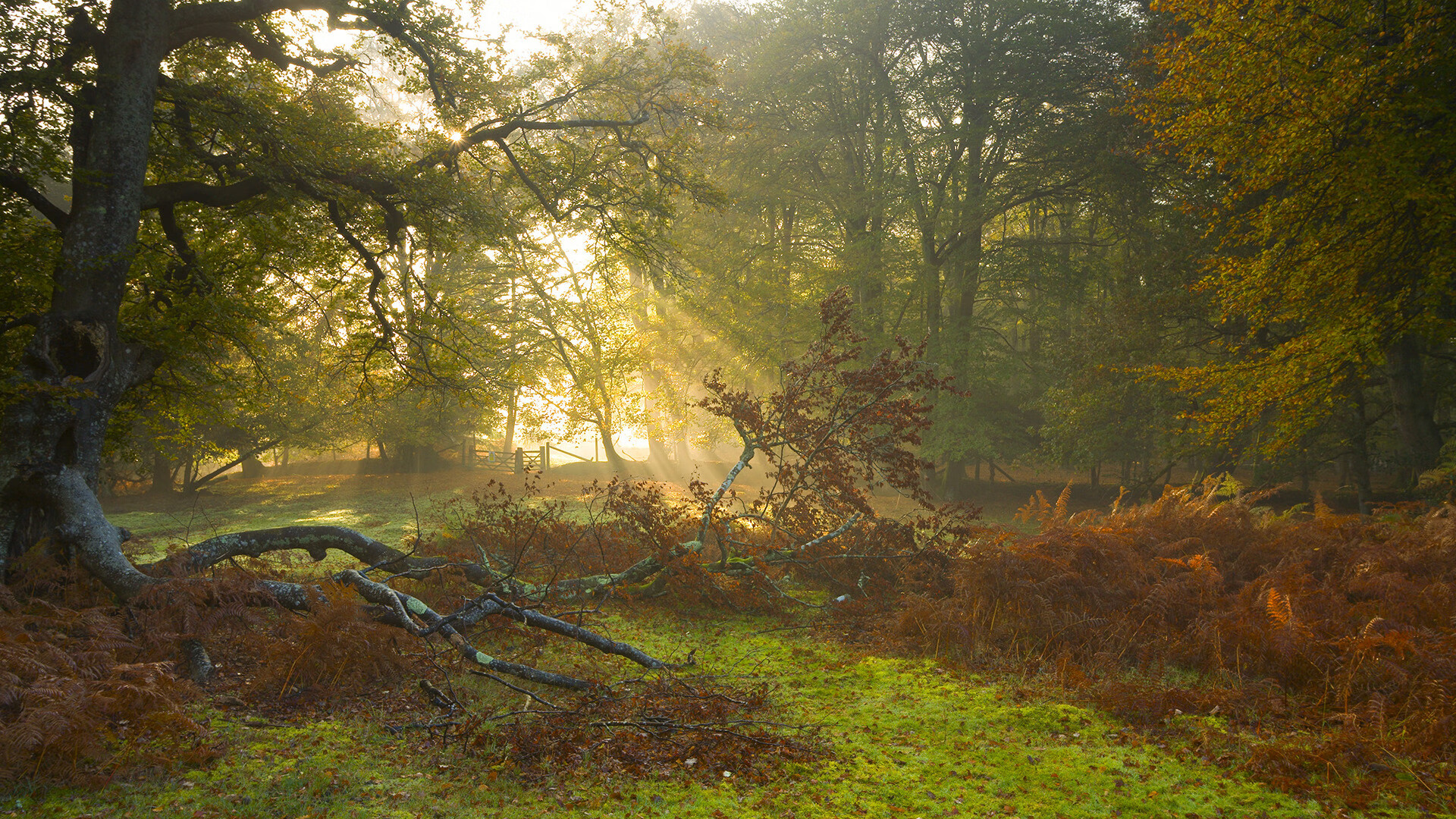 星空体育-羽毛球青少年联赛闭幕总结成果,2021青少年羽毛球