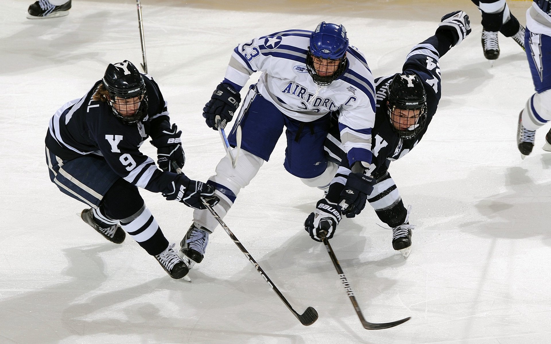 星空体育官网下载-行业“裁判+教练”双向培训制度全面推行,管理体系逐步完善,双向培训班是什么意思